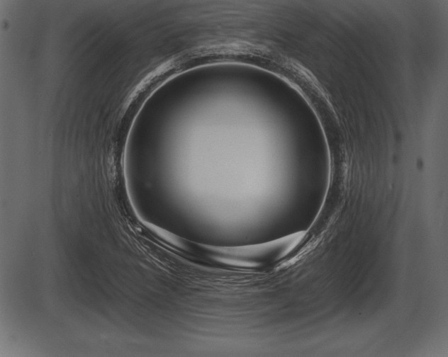 X0000086291218200704090947
