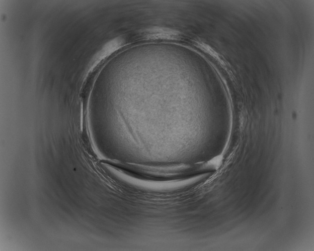 X0000086291219200704090947