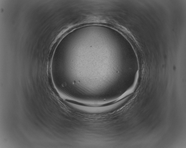 X0000086291220200704090947