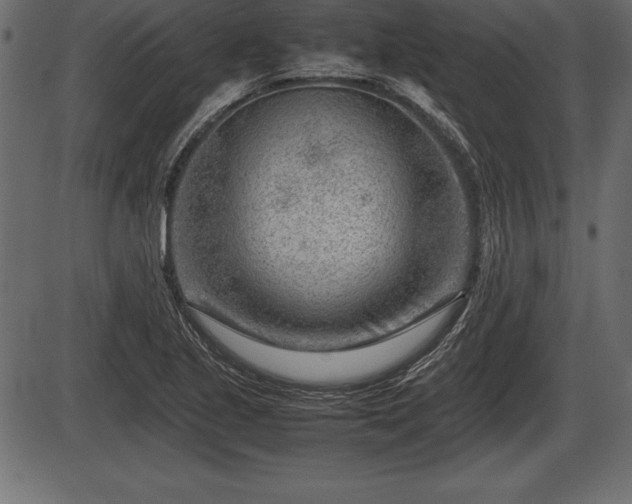 X0000086291221200704090947