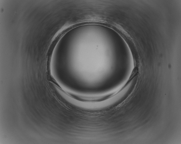 X0000086291222200704090947