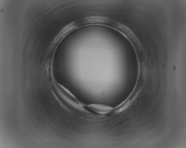 X0000086291225200704090947