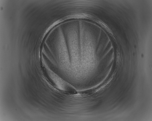 X0000086291226200704090947