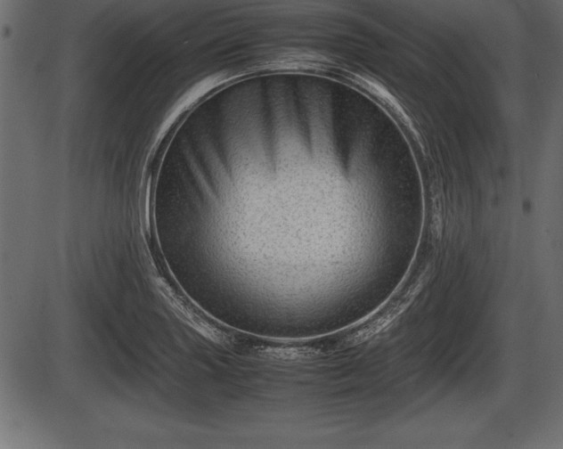 X0000086291227200704090947