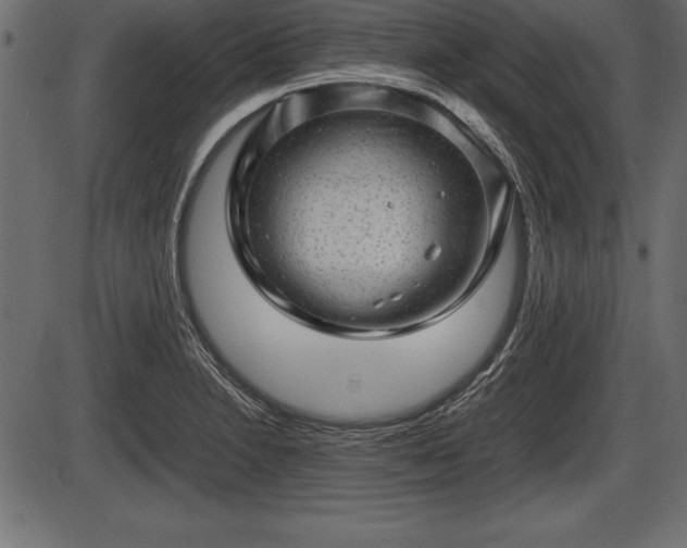 X0000086291230200704090947