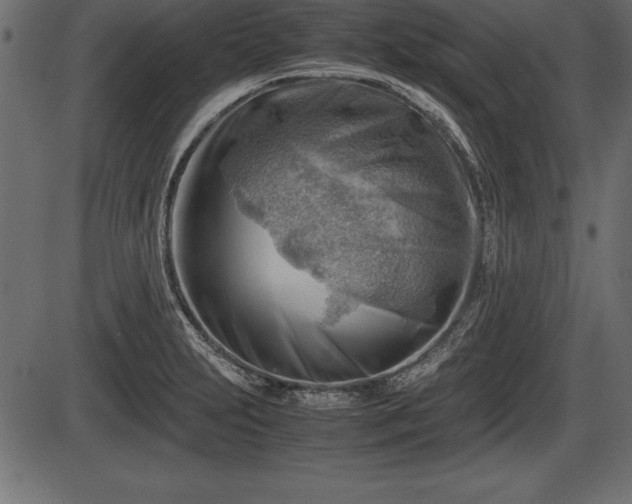 X0000086291231200704090947