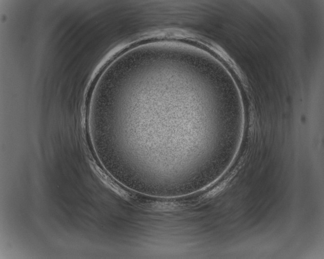X0000086291232200704090947