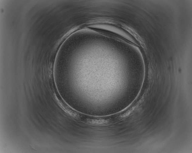 X0000086291233200704090947