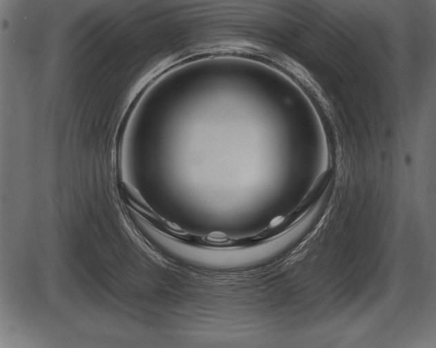 X0000086291234200704090947