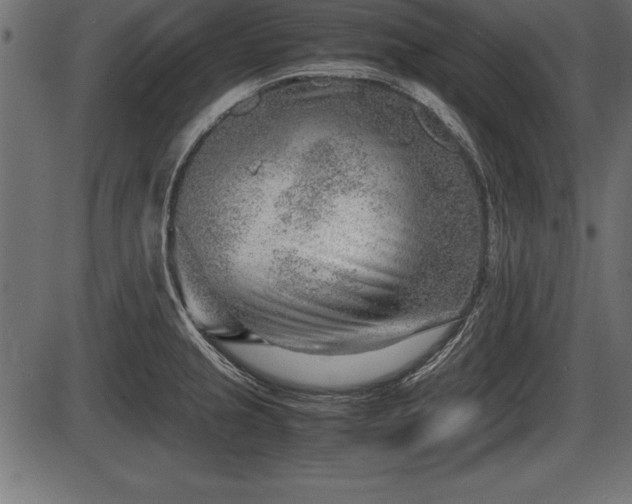 X0000086291237200704090947