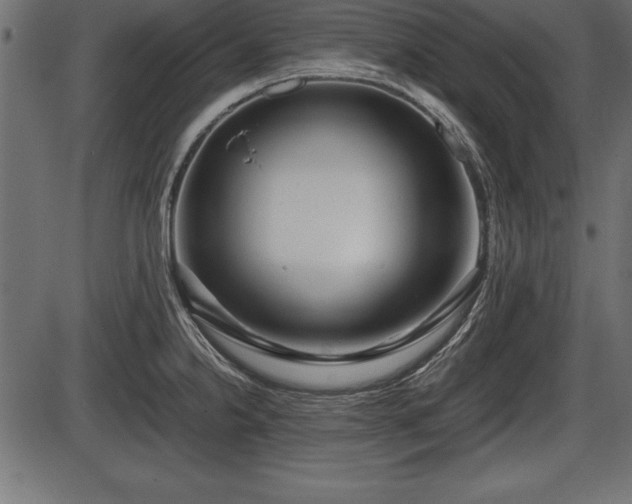 X0000086291238200704090947