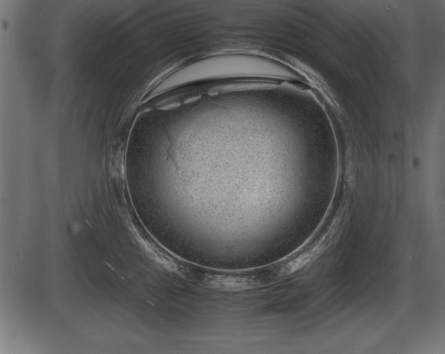 X0000086291241200704090947