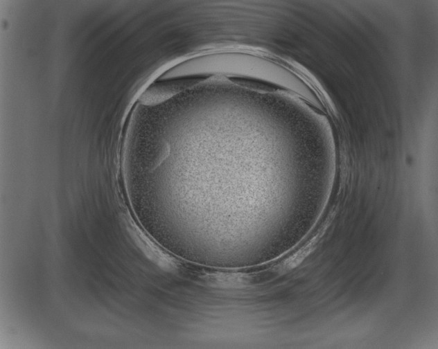 X0000086291244200704090947