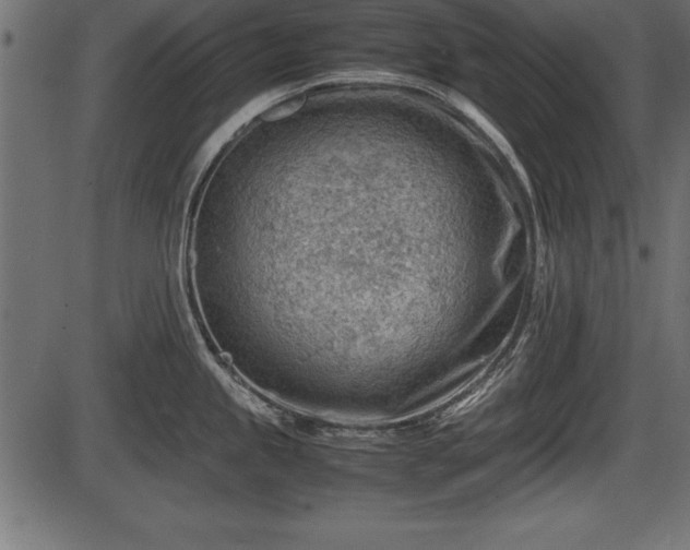 X0000086291245200704090947