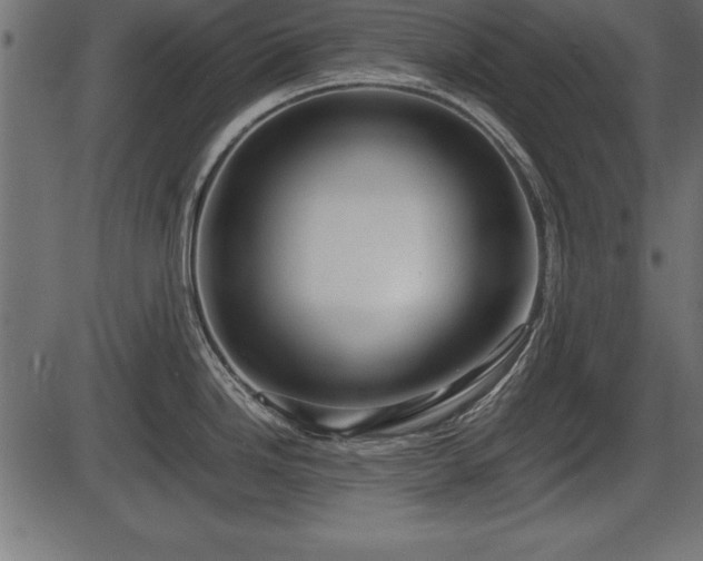 X0000086291246200704090947
