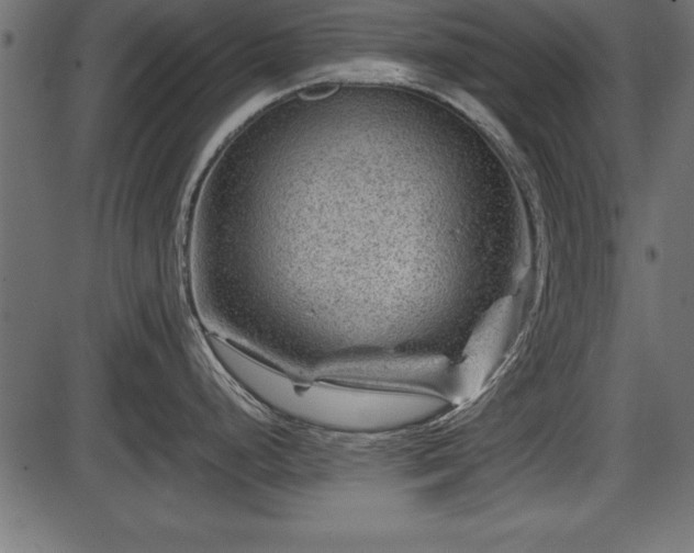X0000086291248200704090947