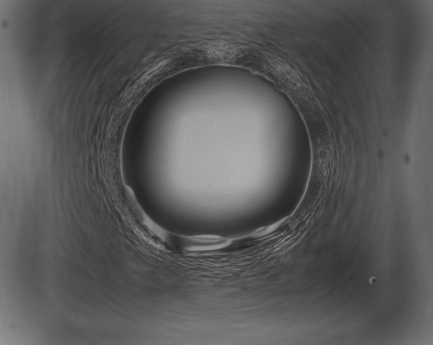 X0000086291249200704090947