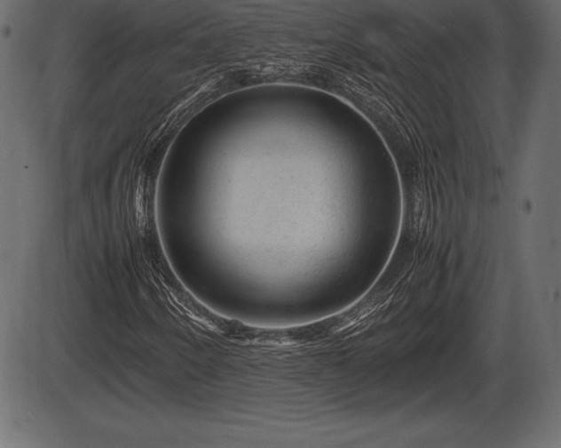 X0000086291250200704090947