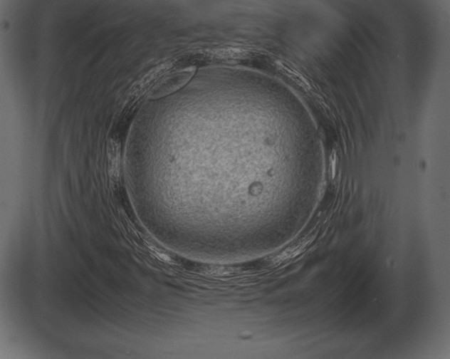 X0000086291251200704090946