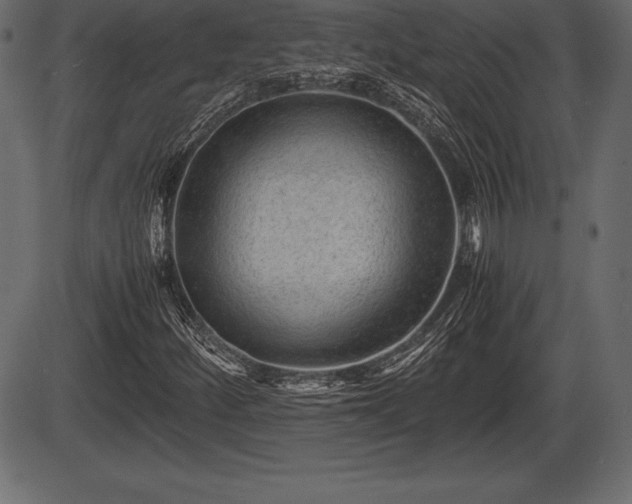 X0000086291252200704090946