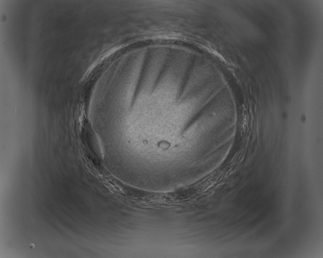 X0000086291255200704090946