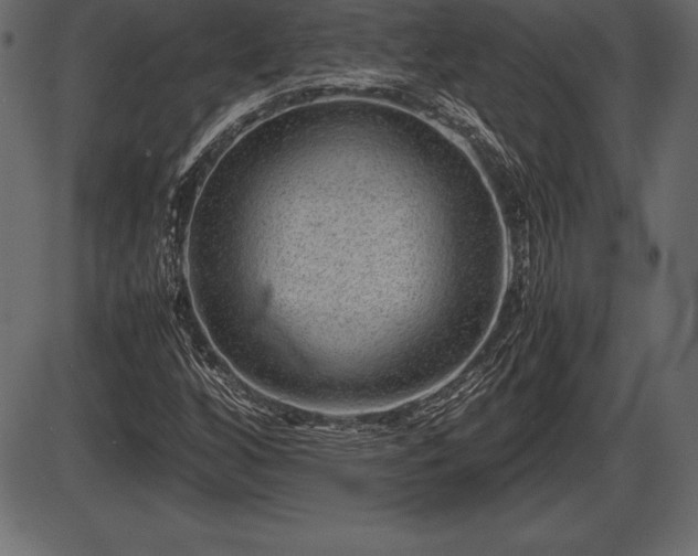 X0000086291256200704090946