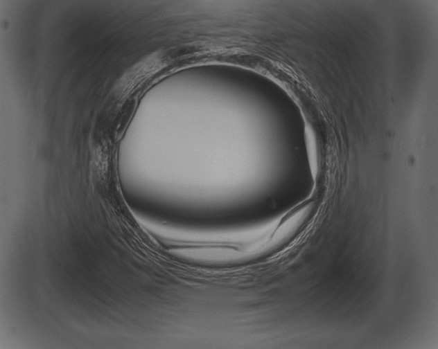 X0000086291257200704090946