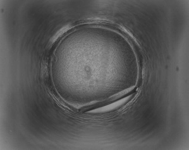 X0000086291259200704090946