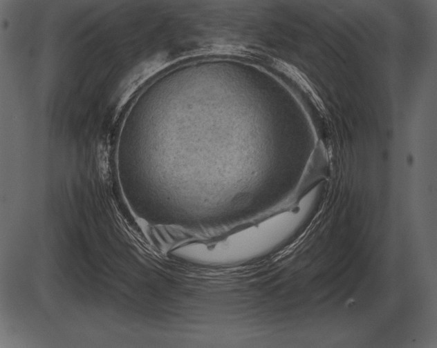 X0000086291260200704090946