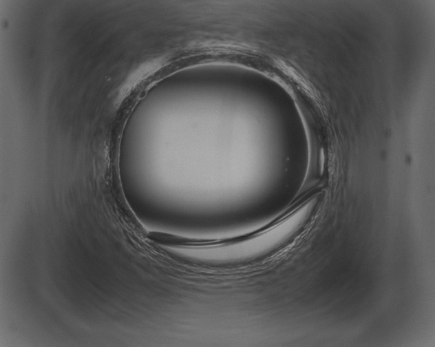 X0000086291261200704090946