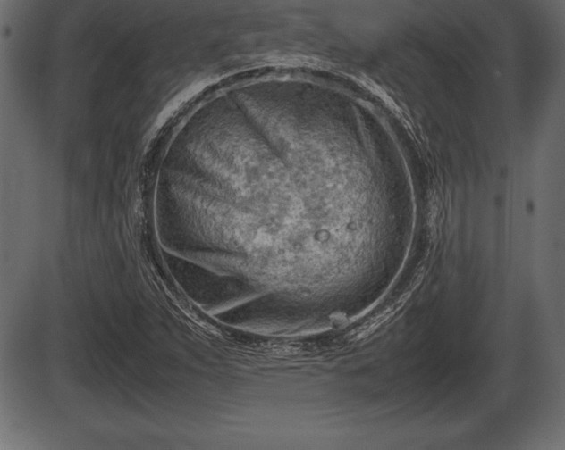 X0000086291263200704090946