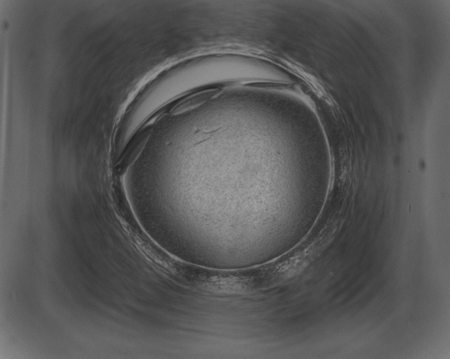 X0000086291264200704090946