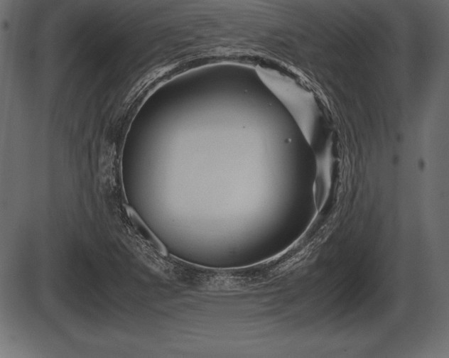 X0000086291265200704090946