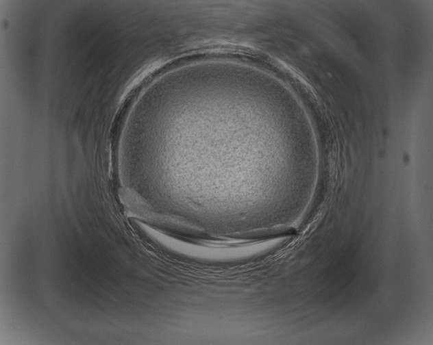 X0000086291267200704090946