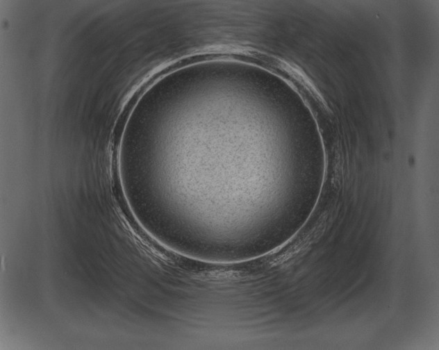 X0000086291268200704090946