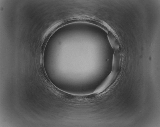 X0000086291269200704090946