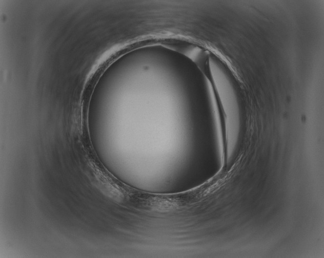 X0000086291270200704090946