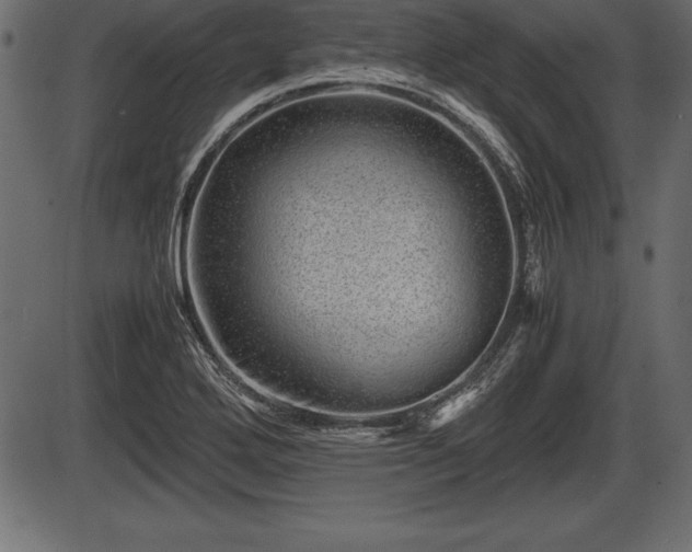 X0000086291272200704090946