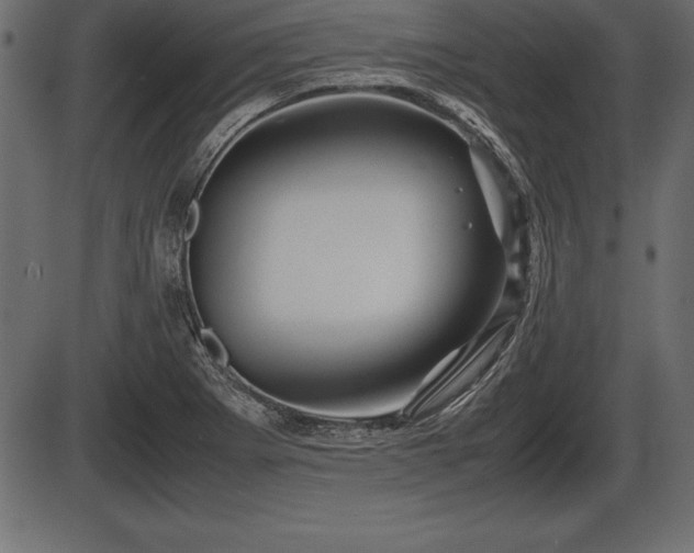 X0000086291273200704090946