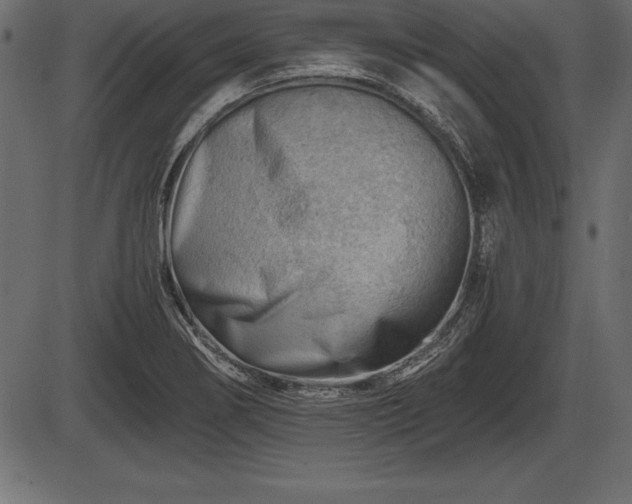 X0000086291274200704090946