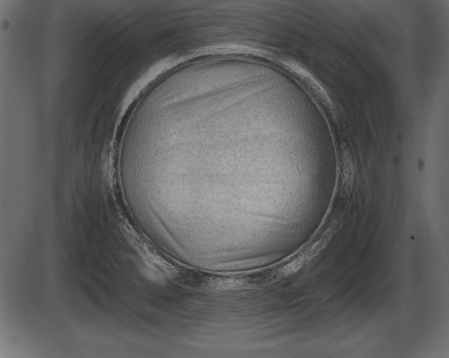 X0000086291278200704090946