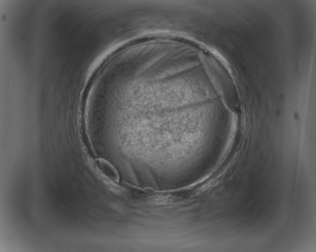X0000086291279200704090946
