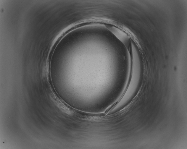 X0000086291280200704090946