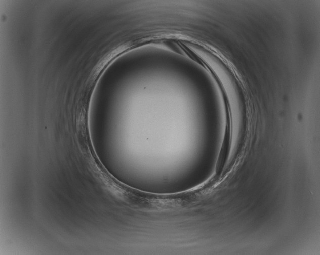 X0000086291281200704090946