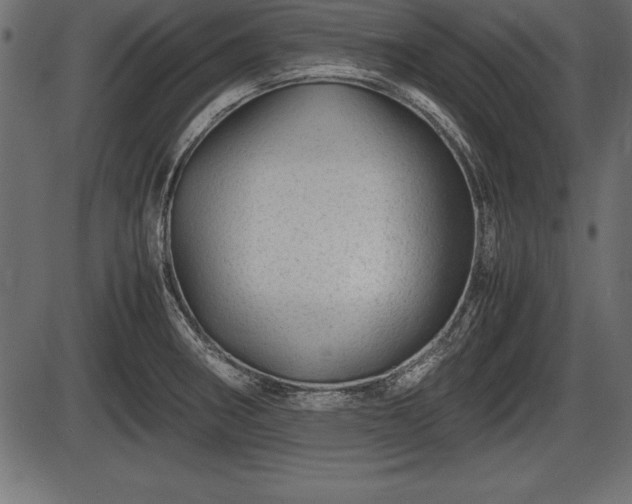 X0000086291282200704090946