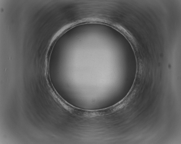 X0000086291286200704090946