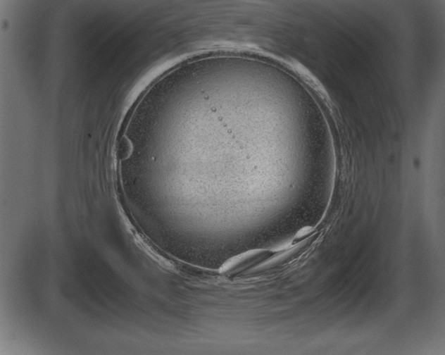 X0000086291287200704090946