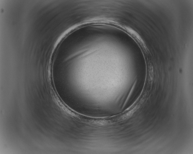 X0000086291288200704090946