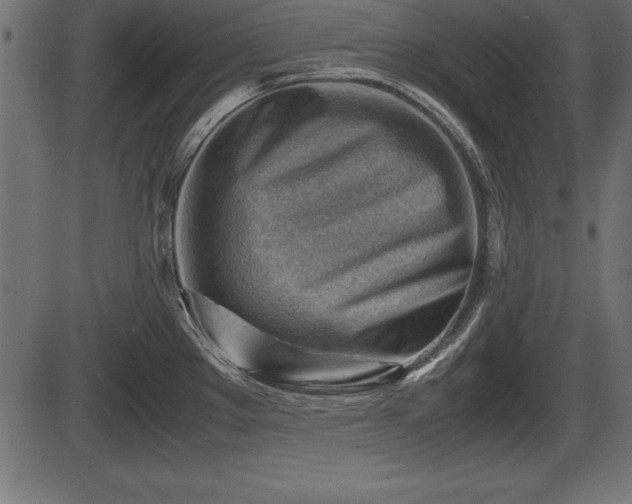X0000086291289200704090946