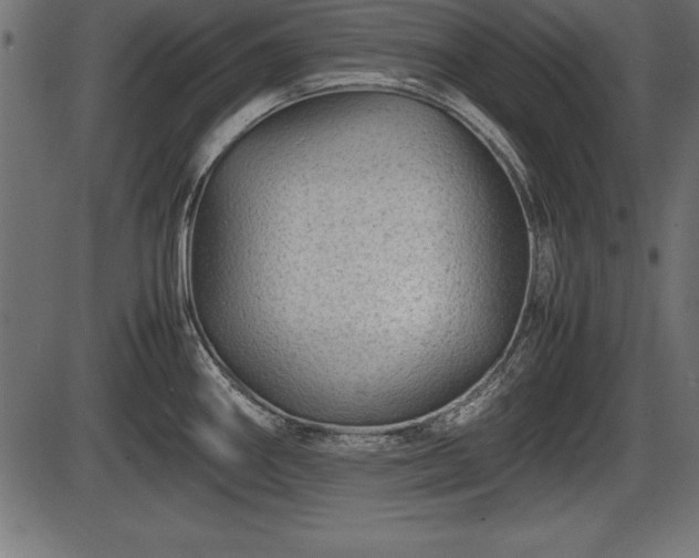 X0000086291290200704090946